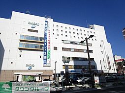 スペランツァA 101