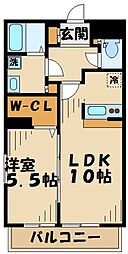 エバーグリーン 104