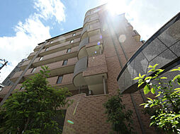 エクセルシオール栄