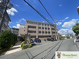 Stella Court (ステラコート)