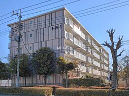 三郷早稲田パークハイツ3-19-3号棟