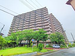ルミナス八潮