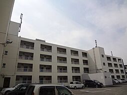 ロイヤルハイツ木村1号館 207