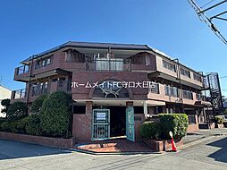 セントポーリア