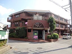 セントポーリア