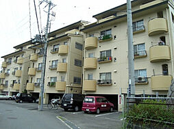 美之グリーンハイツ3