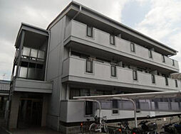 ルシア・タームー