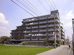 キャピタルキダ