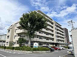 アネックス郡山 206