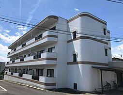 ウィンドヒルズ菜根 203
