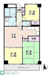 ヴィラグラータ 501