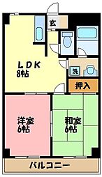 サニーウィステリア 305