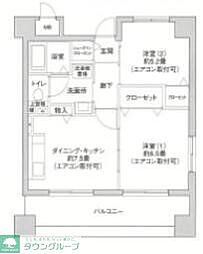 エヴァーグリーン新羽 301