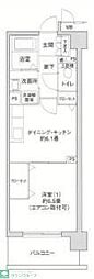 エヴァーグリーン新羽 206