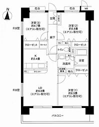 エヴァーグリーン新羽 906