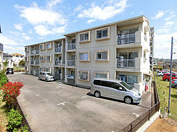 ルミナス花畑 206