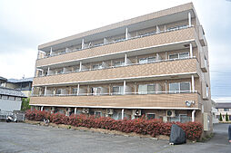 ステータスヒル花畑 105