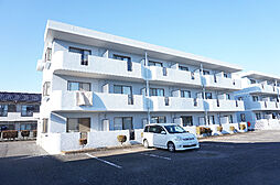 トリニティミツワ3 106