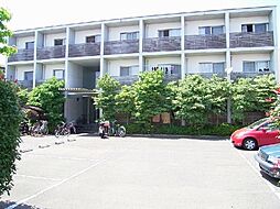 ＬＡ ＳＣＡＬＡ ＢＩＡＮＣＯ 305