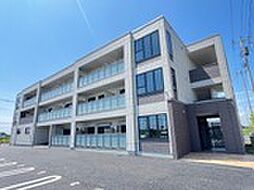 Ｍｏｏｎ ｓｔｏｎｅ 205