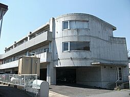 Ｄｒｅａｍ ＹＳ 202