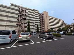 コスモ蕨