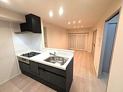 ライオンスマンション浅草三社