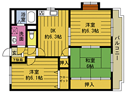 アムール・アドニス 301