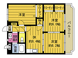 エテルノルーチェII 205