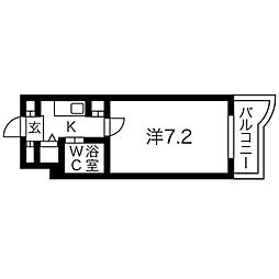 ファーストスプリング