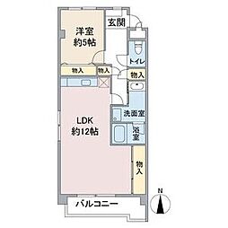 ピア葵
