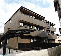 カメリア ２０１