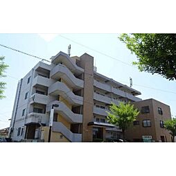 北野ハイツ 203