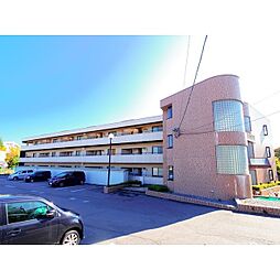 センターフィールド