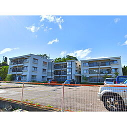 マンションビレッジ・ヒルズ 107