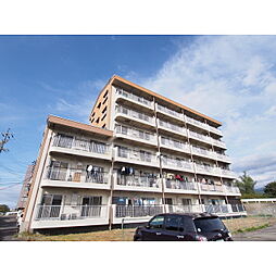 イワマアメニー