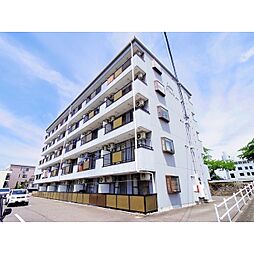 Limpia　Orilla野口