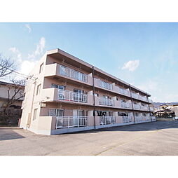 ハイツヒルトップ 203