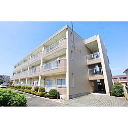 ニューマリッチ愛