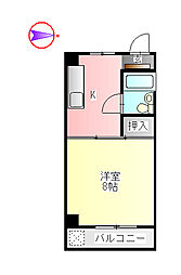 ラミア・カーサ 502