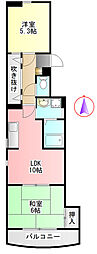 N.T.Flats 300