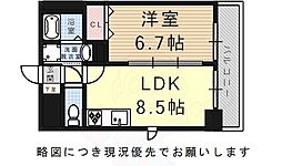 シティライツYATOMIDORI
