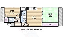 香流シンシア 301