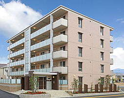 シャインプラス 502