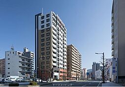 ヴィーラブライト 1006