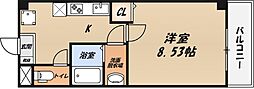コートパッション
