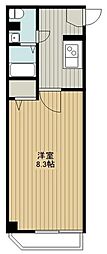 ヒルズ東町 101