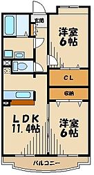 オネスティ　ユー　カレント 305