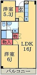 シャインクロコ