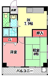 アマポーラ